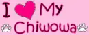chiwowa2