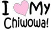 chihuahuaavatar