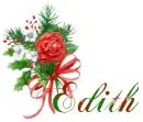 Christmas flower Edith