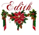 Poinsettia with ribbon Edith
