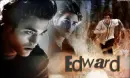 Twilight