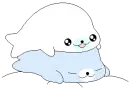 baby seals