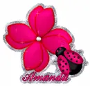 Amanda