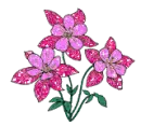 purple flowers