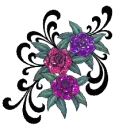 pink and purple flowers