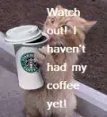 Cat with Coffee