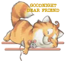 Cat and Mouse 