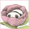 panda flower