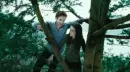 Twilight