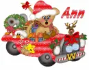 Xnas bear in car with Ann name
