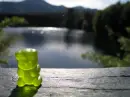 gummy bears