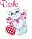 Darla-cat