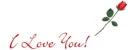 I LOVE YOU WITH RED ROSE