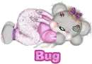 Baby bear- Bug