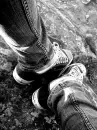 chuck taylors