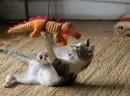How Dinosaurs Became Extinct!!!