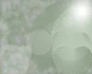 Green Sunburst Spiral Background