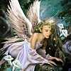 angel