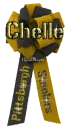 PITTSBURGH STEELERS bow chelle