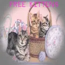 three kittens in a basket