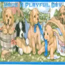 puppies playing