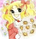 Candy Candy