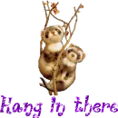 hang in there
