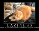 lazy cat