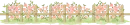 rose garden