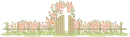 rose garden