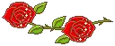 red rose
