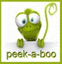 peek a boo frog