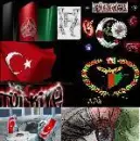 tÃ¼rkiye & afg