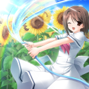 Watering Sunflowers