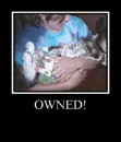 owned