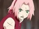 Sakura Shippuuden