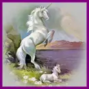 unicorn