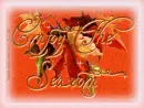 Enjoy The Season