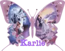 karlie's pink unicorn butterfly 