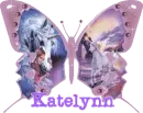 katelynn's pink unicorn butterfly 