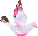 friendship bird