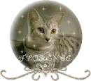 CAT GLOBE