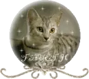 CAT GLOBE