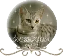 CAT GLOBE