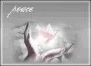 peace