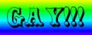 gay
