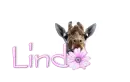 Linda