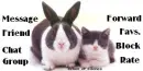 Animal Friends