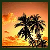 Sunset island