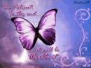 Patience
